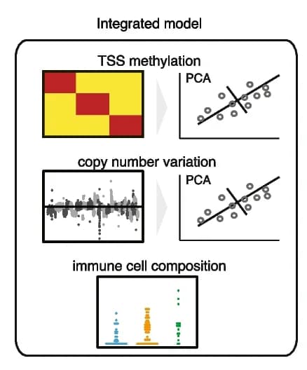 Open access visualization of Heatmap, Scatter Plot, PCA, Bar Plot, TSS Methylation