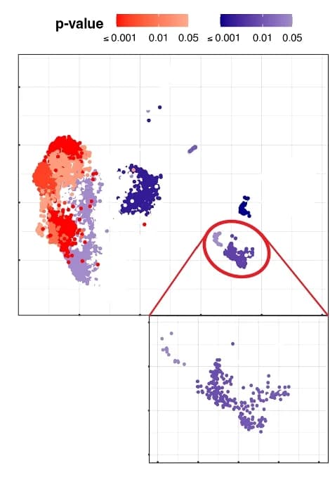 Open access visualization of Scatter Plot, UMAP, P-Values, SCIPAC, Mononuclear Phagocytes