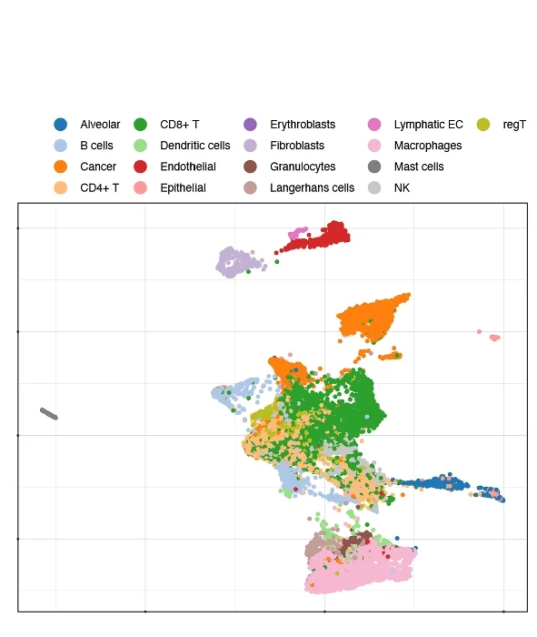 Open access visualization of Scatter Plot, UMAP, PCA, True Cell Types