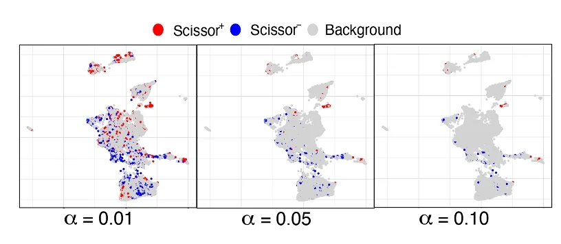 Open access visualization of Scatter Plot, UMAP, Scissor