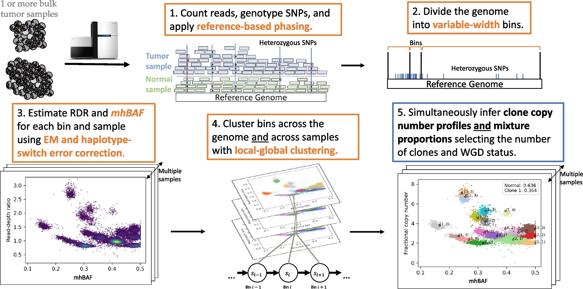 Open access visualization of Scatter Plot, Workflow, Copy Number Profiles, Tumor Clones, Bulk Tumor Samples