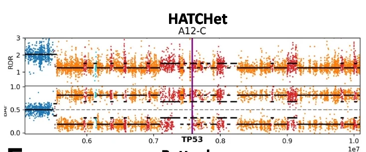 Open access visualization of Scatter Plot, Line Plot, Copy-number segments, HATCHet, TP53 locus