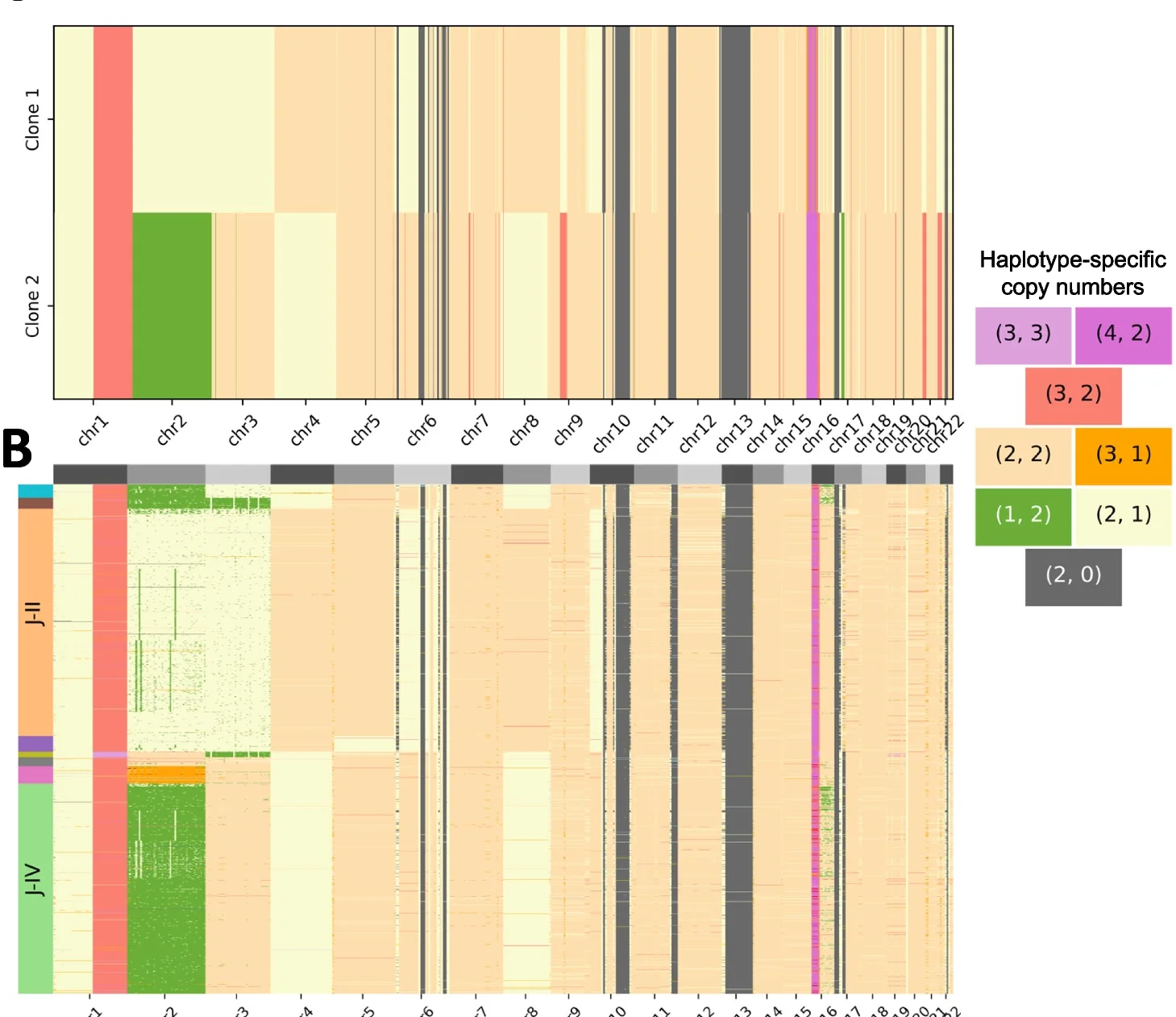 Open access visualization of Heatmap, Haplotype-Specific Copy-Number Profiles, Tumor Clones, Pseudobulk Samples, Single-Cell Whole-Genome Sequencing Data