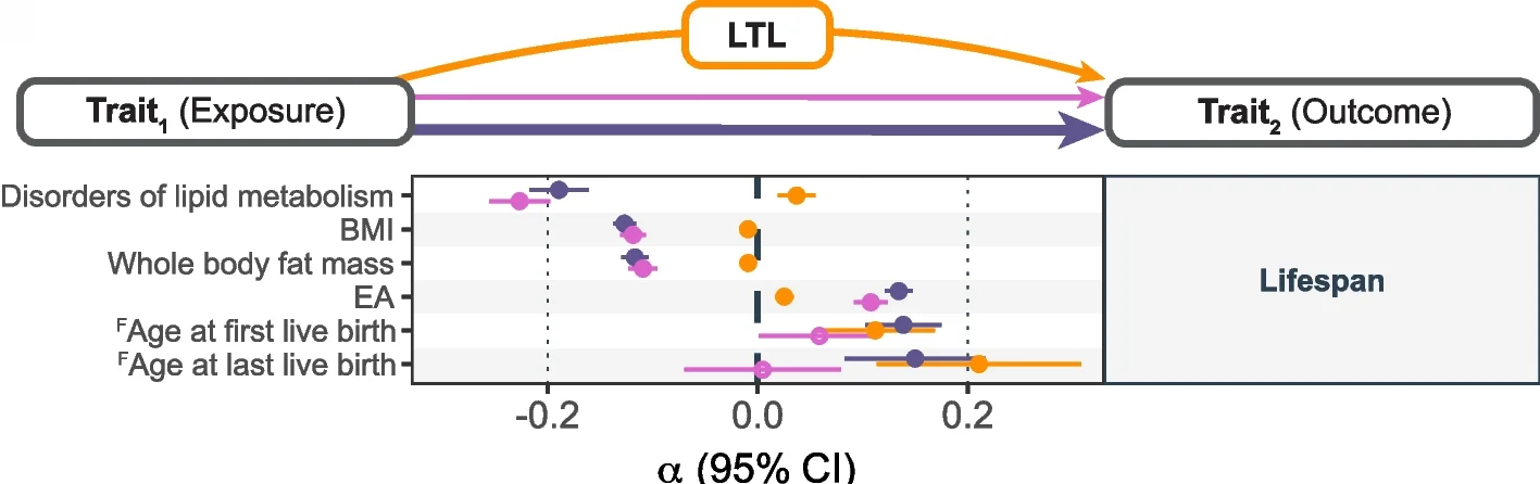 Open access visualization of Forest Plot, Workflow, Mediation Analysis, LTL, Lifespan
