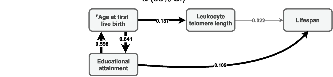 Open access visualization of Pathway, Schematic Illustration, MVMR Effects, Effect Size, Lifespan