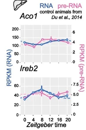 Open access visualization of Line Plot, Error Bars, RPKM, Aco1, Ireb2