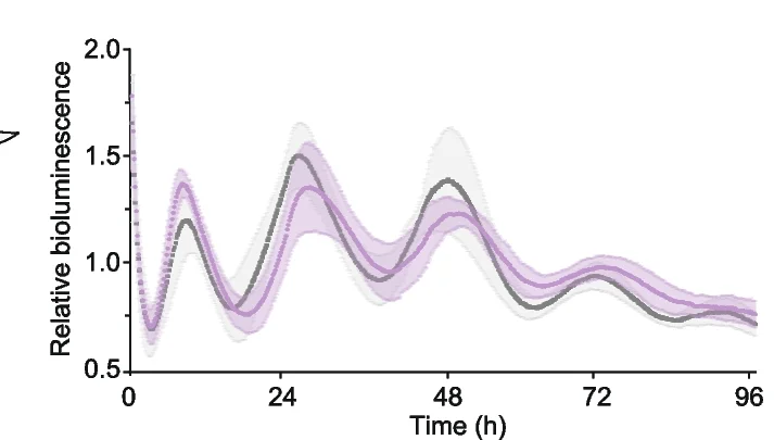 Open access visualization of Line Plot, Error Bars, Liver Explant, Bioluminescence, Ireb2 -/- Mice