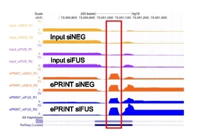 Open access visualization of Line Plot, Density Plot, UCSC Genome Browser, RBP Peak, XIST Gene