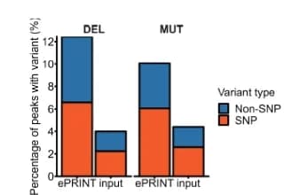 Open access visualization of Stacked Bar Plot, Mutational Analysis, Deletions, Point Mutations, Single Nucleotide Polymorphisms