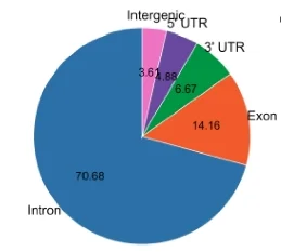 Open access visualization of Pie Chart, ePRINT Peaks, HEK293T Cells, Introns, Exons