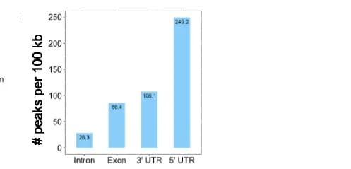 Open access visualization of Bar Plot, ePRINT Peaks, Introns, Exons, 5' UTRs