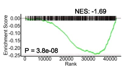Open access visualization of Line Plot, Peak Set Enrichment Analysis, FUS Binding Sites, eCLIP, HEK293T Cells