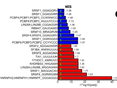 Open access visualization of Bar Plot, Error Bars, RBP Motifs, Peaks, FUS Knockdown