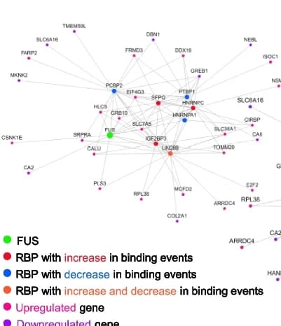 Open access visualization of Network, Pathway, Network Analysis, FUS Knockdown, eCLIP