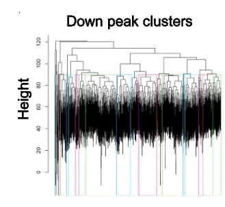 Open access visualization of Clustered, Hierarchical Clustering, ePRINT Peak Set, Sequence Similarity, Clusters