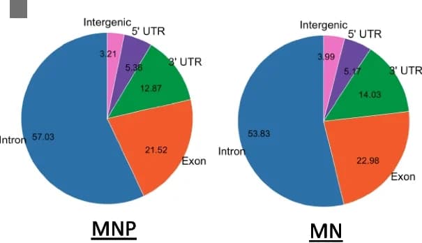 Open access visualization of Pie Chart, ePRINT Peaks, Gene Features, Motor Neuron Progenitors, Motor Neurons