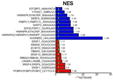 Open access visualization of Bar Plot, Error Bars, RBP Motifs, Motor Neurons, Motor Neuron Progenitors