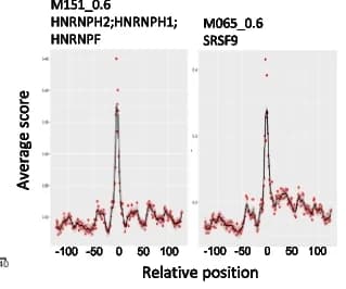 Open access visualization of Line Plot, Scatter Plot, Motifs, HNRNPH2, HNRNPH1
