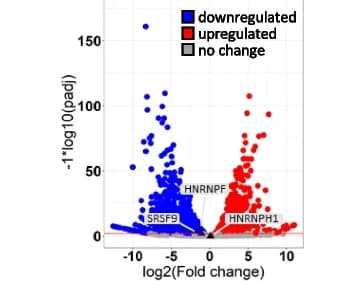Open access visualization of Volcano Plot, Scatter Plot, Differentially Expressed Genes, Motor Neuron Progenitors, Motor Neurons