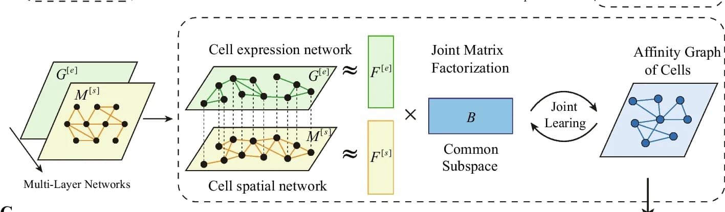 Open access visualization of Workflow, Network, Expression Feature Learning, Cell Multi-Layer Networks, Non-Negative Matrix Factorization