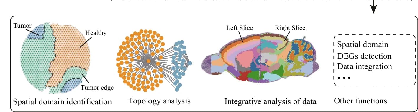 Open access visualization of Network, Pie Chart, Geo Map, Workflow, Affinity Graph