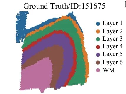 Open access visualization of Scatter Plot, Geo Map, Ground Truth, Spatial Position, DLPFC Data