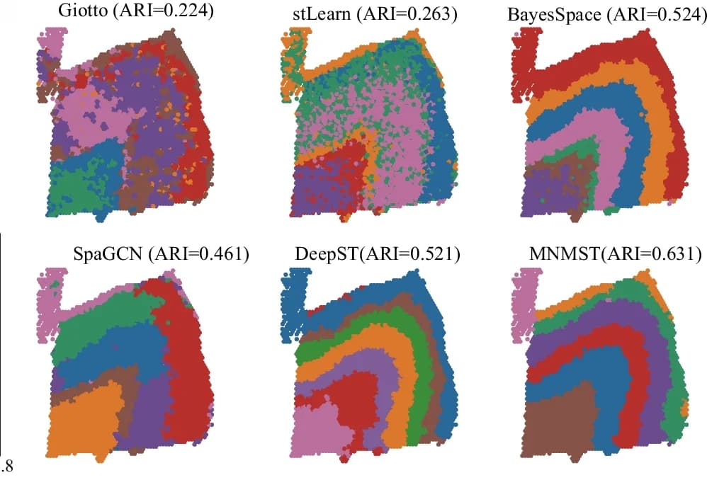Open access visualization of Scatter Plot, Spatial Domains, Giotto, stLearn, SpaGCN