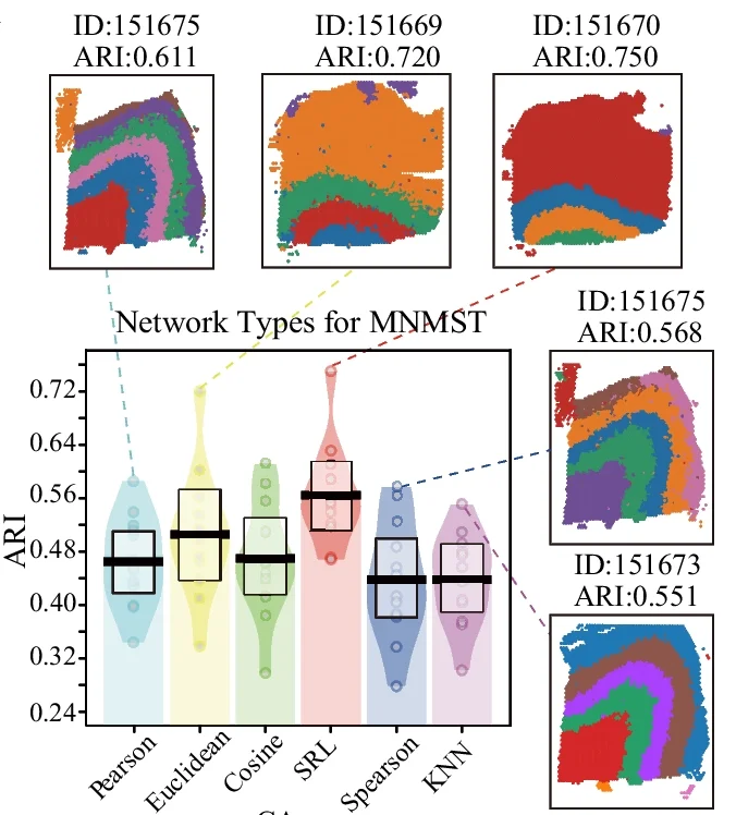 Open access visualization of Violin Plot, ARI, MNMST, Cell Networks, DLPFC Slices