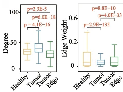 Open access visualization of Box Plot, Degree Distribution, Edge Weight, Cell Affinity Graph, MNSMT