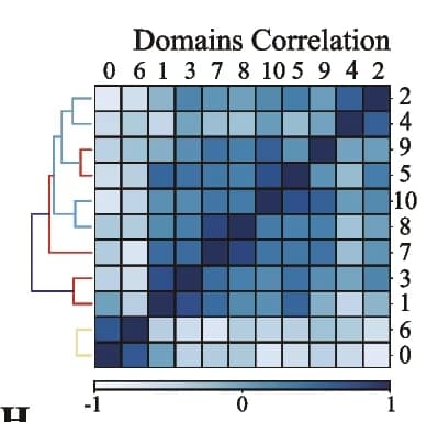 Open access visualization of Heatmap, Clustered, Pearson Correlation Coefficient, Domains