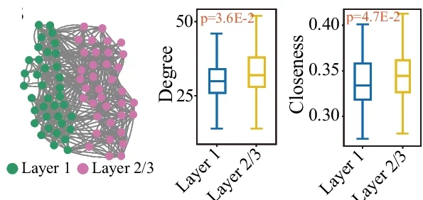 Open access visualization of Box Plot, Network, Affinity Graph, Layer 1, Layer 2/3