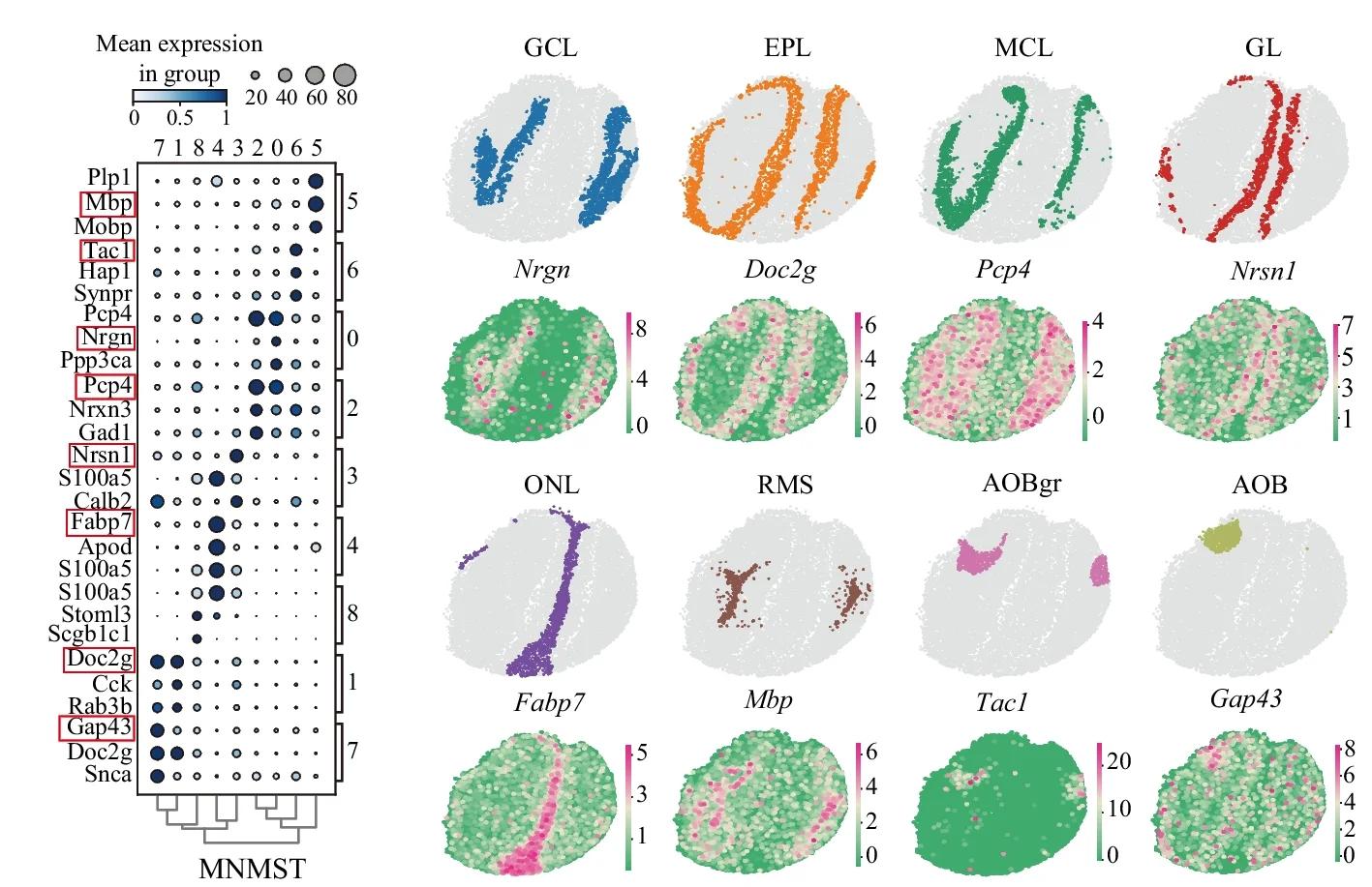 Open access visualization of Bubble Plot, UMAP, Heatmap, Clustered, Dotplot