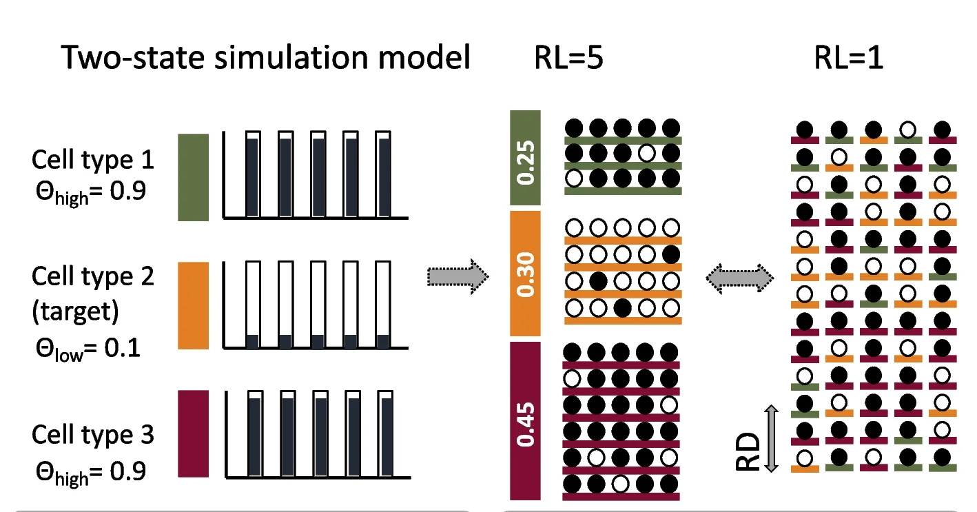 Open access visualization of Illustration, Generative Model, Methylation Proportion, CpG, Cell Type