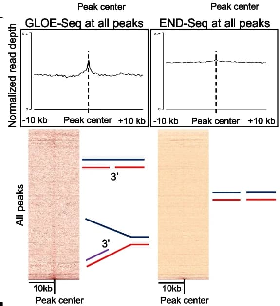 Open access visualization of Line Plot, Heatmap, Spectrogram, Illustration, Metagene Profile