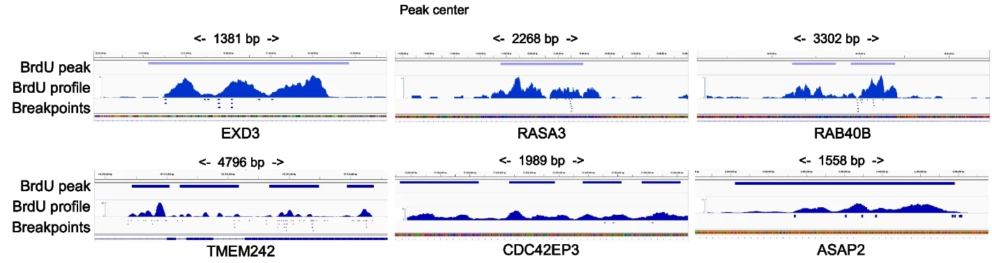 Open access visualization of Line Plot, Density Plot, BrdU Peaks, Breakpoints, Rearrangements