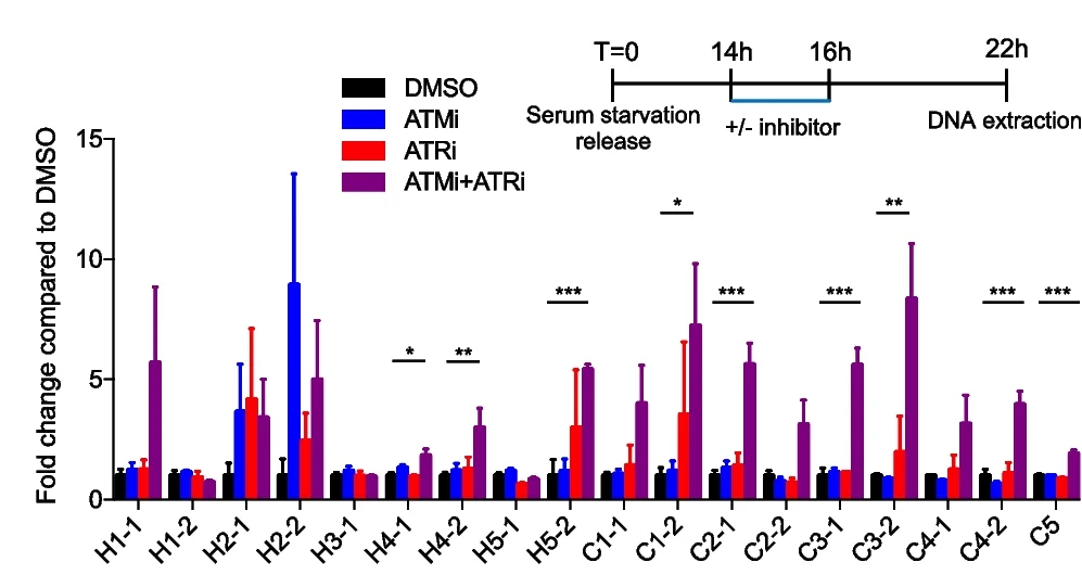Open access visualization of Bar Plot, Error Bars, Clustered, Fold Change, DMSO