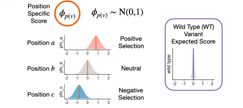 Open access visualization of Density Plot, Line Plot, Generative Model, Variant Effects, Wild-type Score