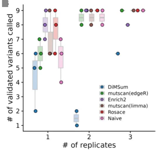 Open access visualization of Box Plot, Scatter Plot, Validated Variants, Replicates, DiMSum