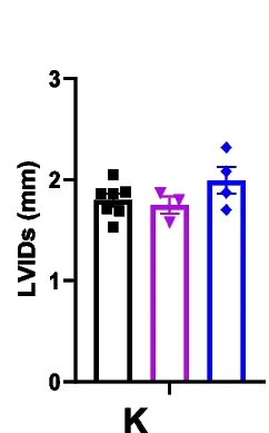 Open access visualization of Bar Plot, Error Bars, Left Ventricular Internal Diameter End-Systole, LVIDs, Wild Type