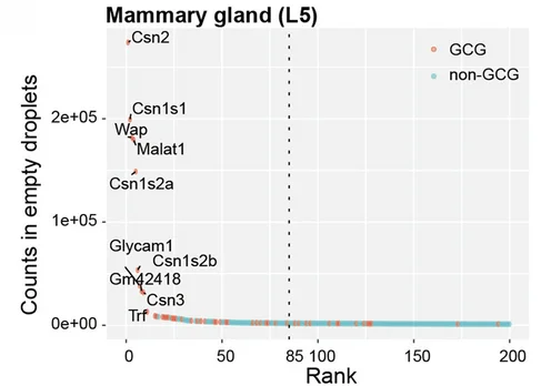 Open access visualization of Scatter Plot, snRNA-seq Datasets, Mammary Glands, Empty Droplets, Counts vs Rank
