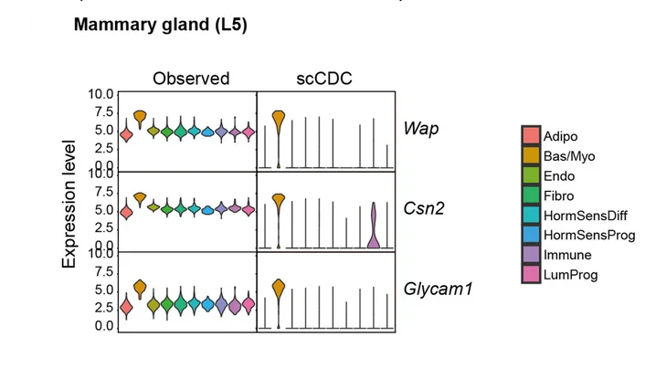 Open access visualization of Violin Plot, Violin Plots, snRNA-seq, Gene Contamination, Mammary Gland