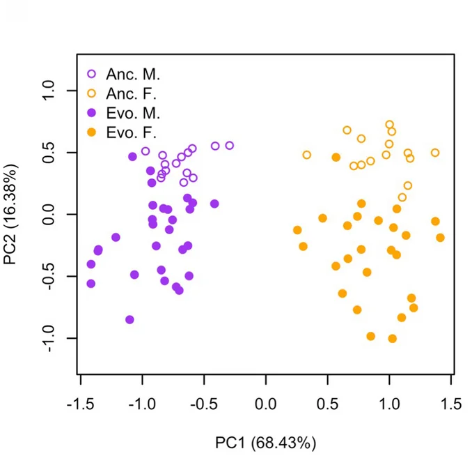 Open access visualization of Scatter Plot, PCA, Principal Component Analysis, Cuticle Hydrocarbons, Females