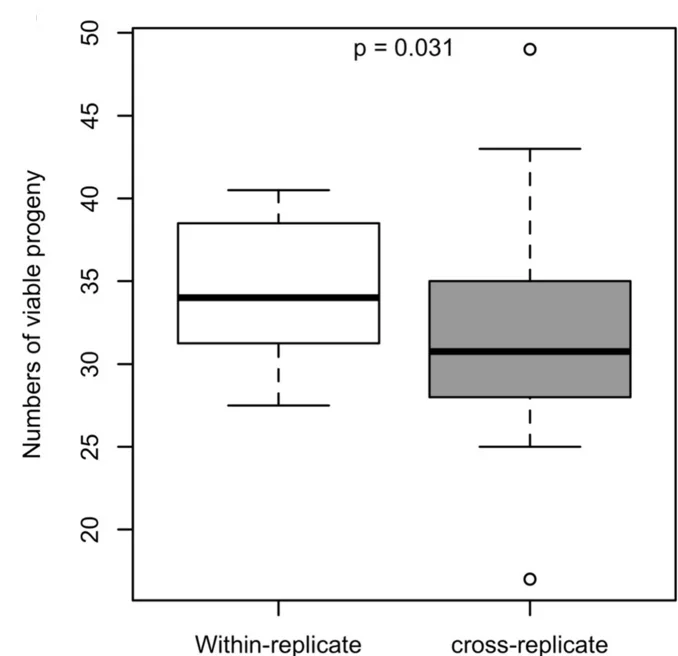 Open access visualization of Box Plot, Fitness, Postmating Incompatibility, Replicate Crosses, Viable Adults