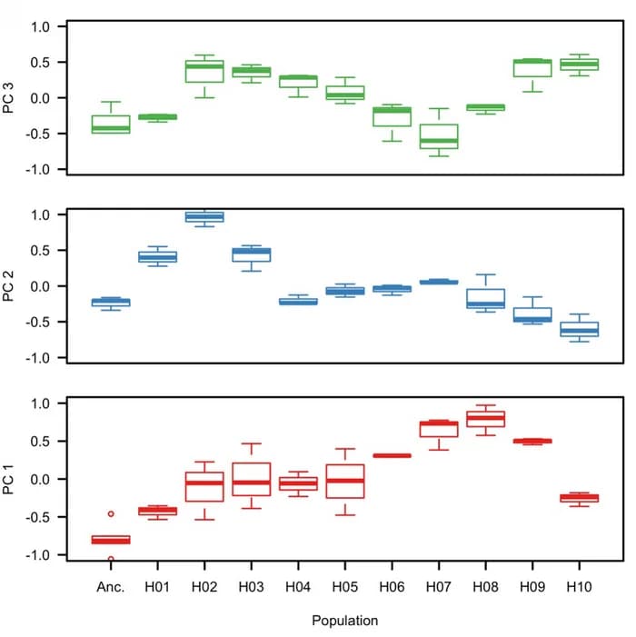 Open access visualization of Box Plot, Evolution, Gene Expression, Reproduction, Principal Component Analysis