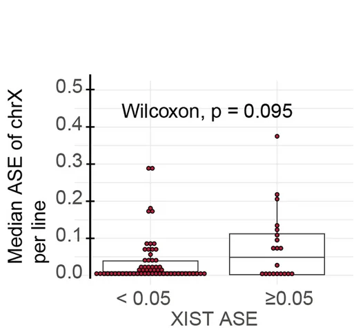 Open access visualization of Box Plot, Scatter Plot, Bi-allelic Expression, XIST, ASE