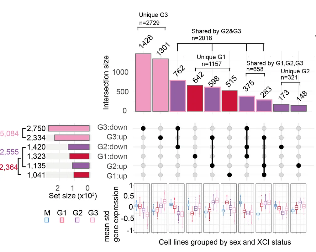 Open access visualization of Bar Plot, Box Plot, Venn Diagram, Upset Plot, Autosomal Genes