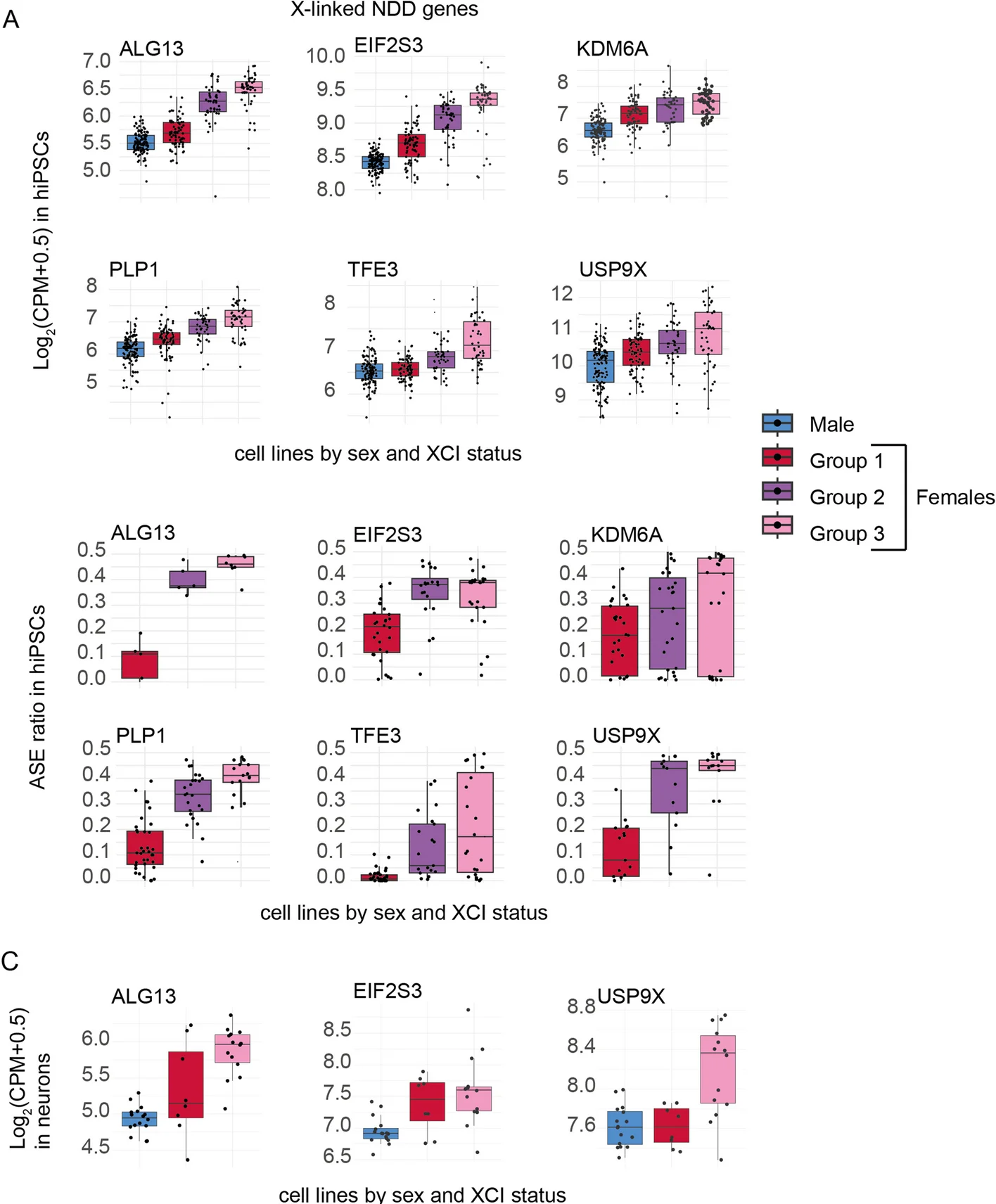 Open access visualization of Box Plot, Scatter Plot, Violin Plot, Allele-Specific Expression, Disease Genes