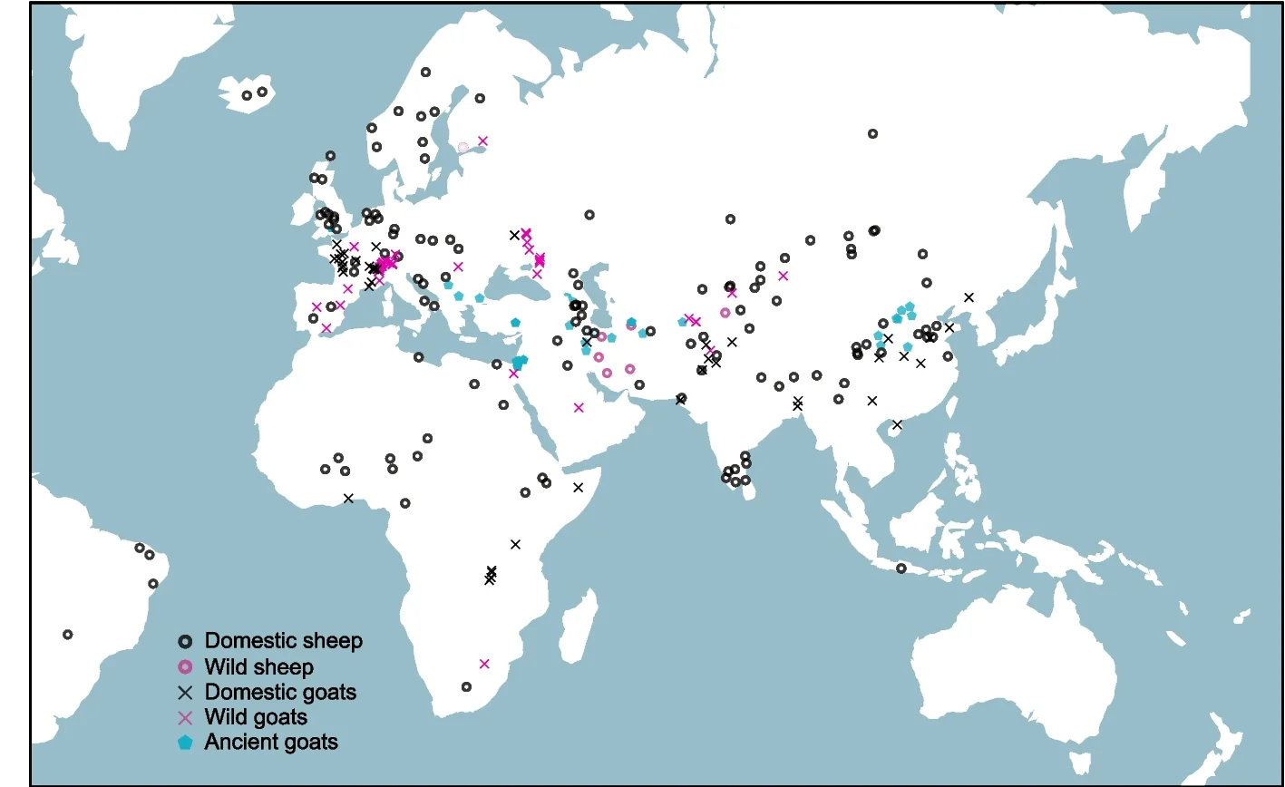 Open access visualization of Geo Map, Sheep, Goat, Geographic Distribution