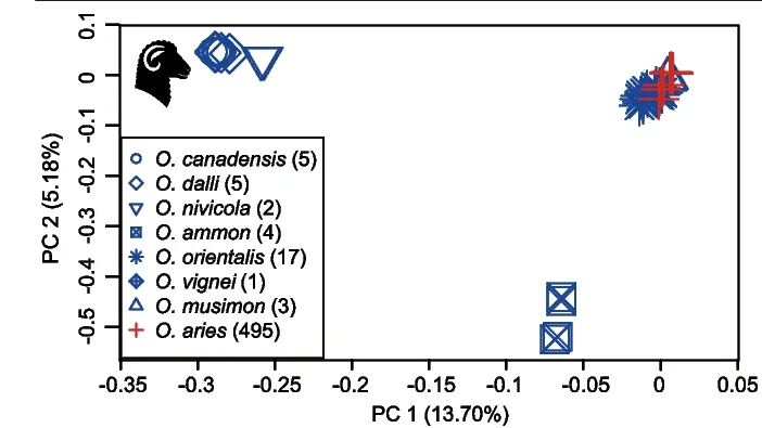 Open access visualization of Scatter Plot, PCA, Principal Component Analysis, Sheep, SVs