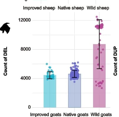 Open access visualization of Bar Plot, Error Bars, Scatter Plot, Structural Variation, Goats